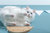 Wall Mounted Cat Shelves With Transparent Board - Round Lack Clear