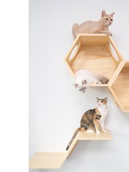 Wall Mounted Cat Shelves Zone Floating Perch - Right Higher