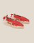 Soc Espadrille Red