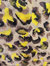 Safea Top - Watercolor Leopard