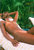 Prism Bikini Top - Tan Color