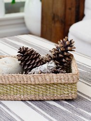 4" Bird's Nest Fern + Planter Basket