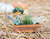 Seagrass Storage Woven Tray | Orange + Brown - Orange + Brown