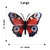 Blue Eyed Butterfly Wall Art - Red