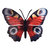 Blue Eyed Butterfly Wall Art