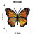 Monarch Butterfly Metal Wall Art - Orange