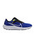 Nike Pegasus 40 Mens Running Shoe In 401