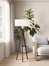 Nova of California Tripod 58" Floor Lamp in Pecan and Brushed Nickel with Dimmer Switch - Pecan