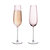 Round Up Set of 2 Sparkling Wine Glasses