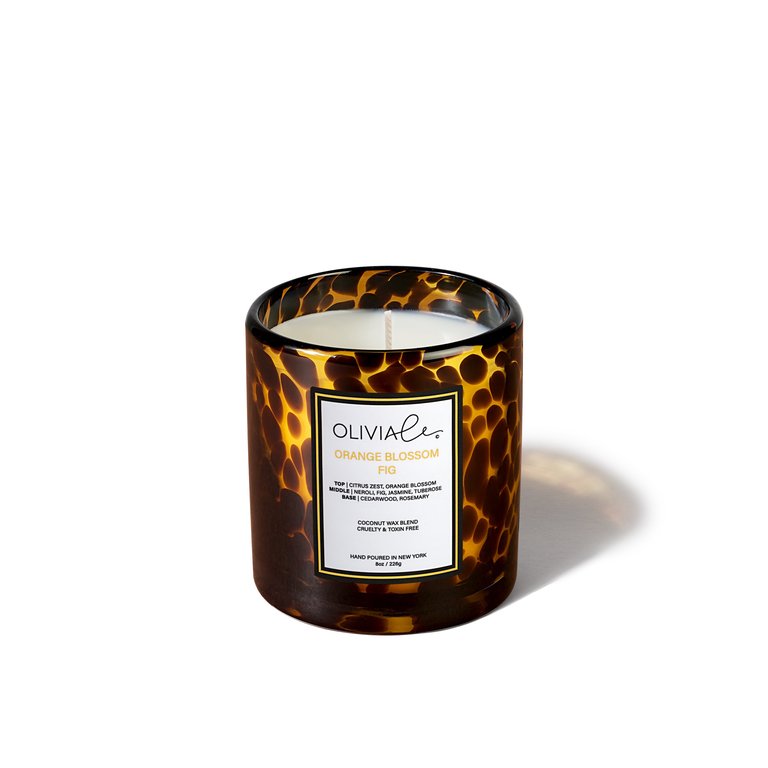 Orange Fig Blossom Tortoise Candle