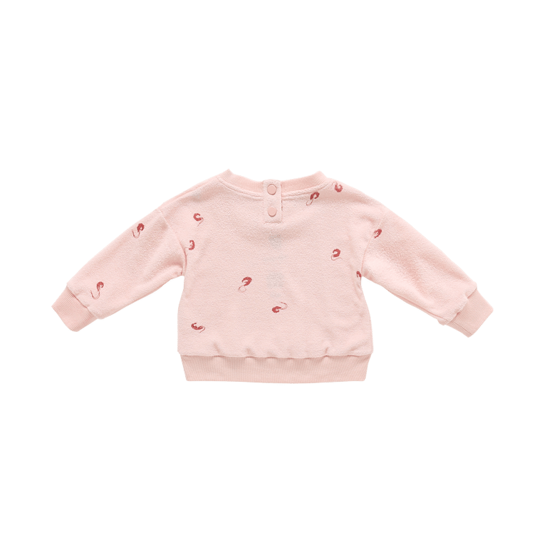 Baby Terry Sweatshirt