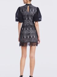 The Hilda | Black Lace Cocktail Dress