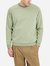Deon Crewneck Raglan Sweatshirt - Seagrass Green
