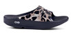 Women's Ooahh Limited Slide Sandal In Cheetah