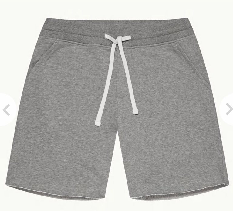 Corot Shorts - Grey Malange