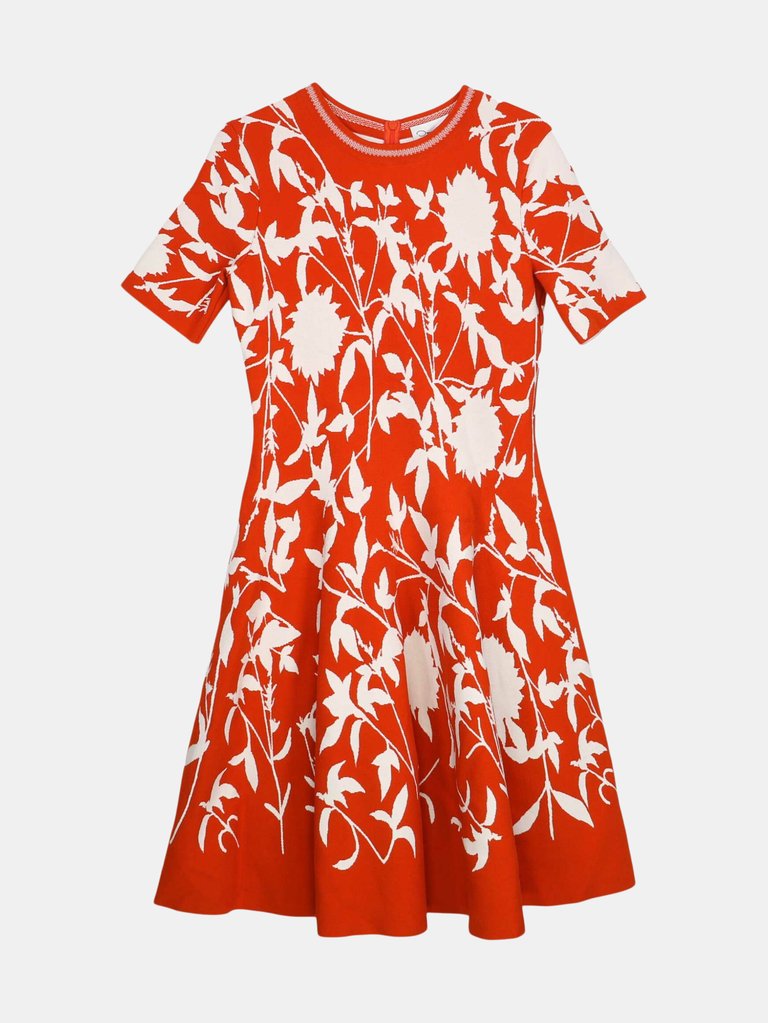 Oscar De La Renta Women's Orange / White Short Sleeve Floral Damask Fit-and-Flare Dress - S - Orange / White