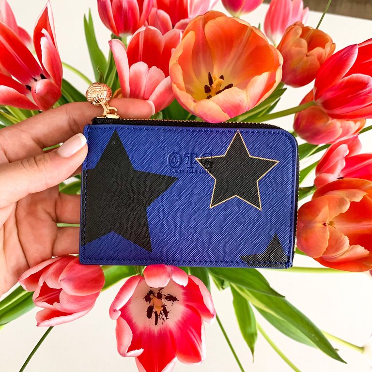 Card Case Sam Star Navy