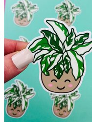 Plant Mama Sticker Pack (4 Pack) Variegated Plants, Monstera, Pink Princess Philodendron, Girl Who Loves Plants
