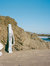 Zuma Beach Umbrella