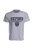 Mens Oxford University Print Short Sleeve T-Shirt (Sport Grey) - Sport Grey