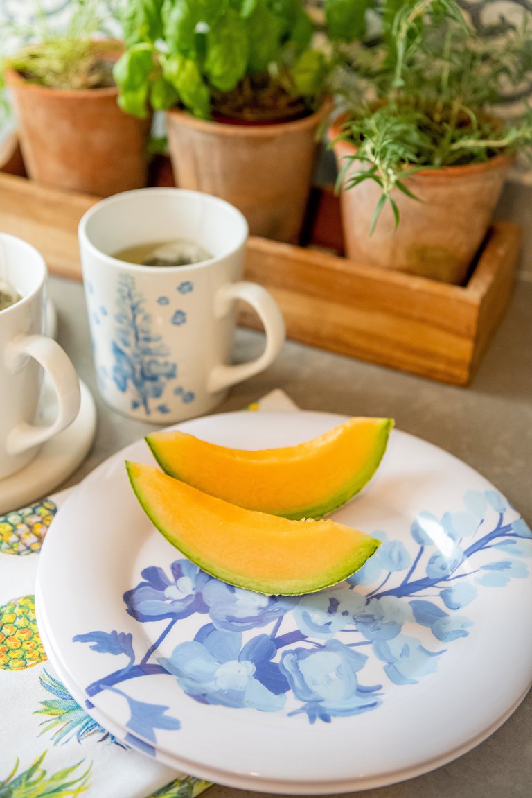 Pacific Blue Dinner Plate