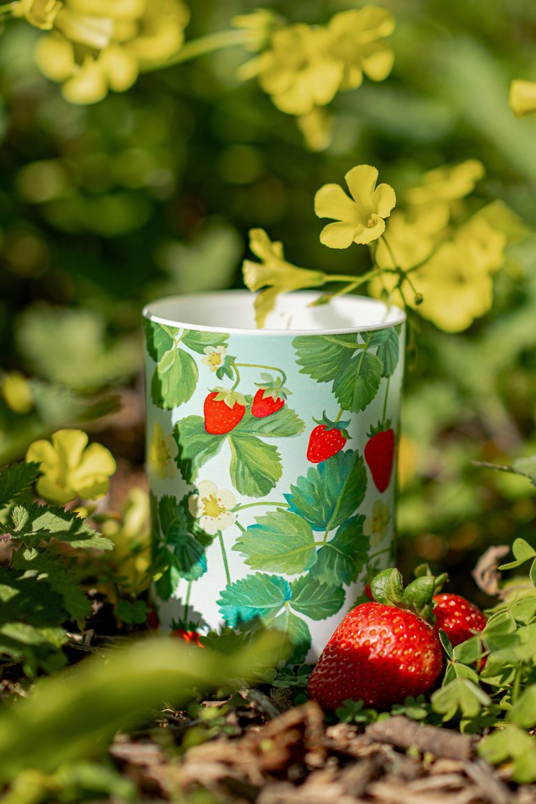 Strawberry Glass Candle - Strawberry