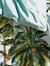 Paoletti Forsteriana Palm Tree Duvet Set (Multicolored) (Full) (UK - Double)