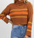 Stripe Turtleneck Sweater In Cinnamon