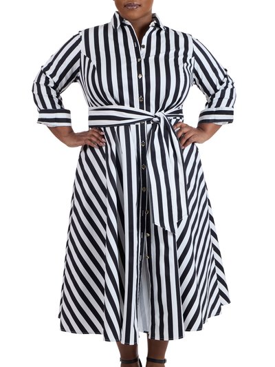 Pari Passu Poplin Shirtdress - Awning Stripe product