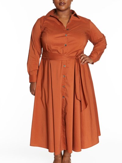 Pari Passu Poplin Shirtdress in Terracotta product