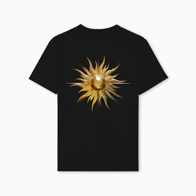 End of Code Sun T-Shirt In Black Regular Fit