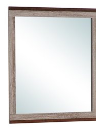 32 in. x 39.5 in. Classic Rectangle Framed Dresser Mirror