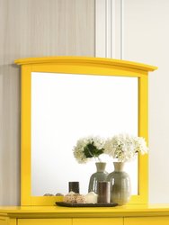 Classic Rectangle Framed Dresser Mirror 37 in. x 35 in.