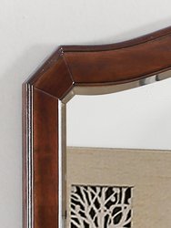 Modern Arch Framed Dresser Mirror