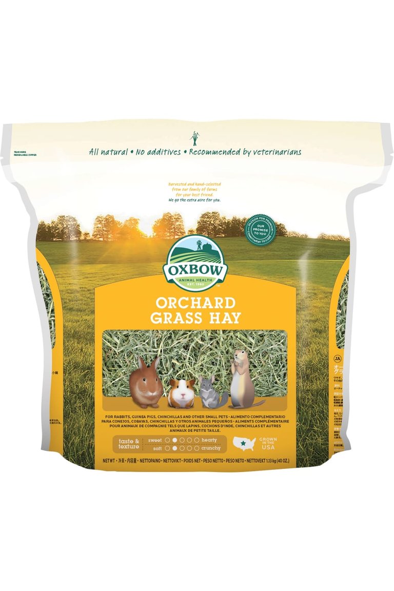 Petlife International Oxbow Orchard Grass Hay (Multicolored) (2.5lbs) - Multicolored