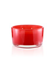 Filled 3 - Wick Candle