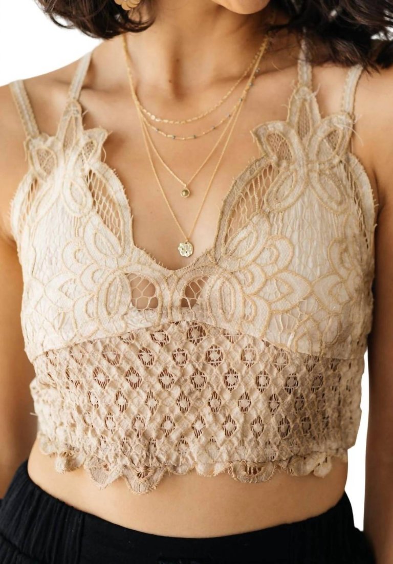 Live In Lace Bralette In Taupe - Taupe