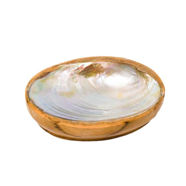 TEAK SHELL SOAP DISH - REGULAR SIZE - POPPY + SAGE