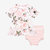 Vintage Pink Rose Short Sleeve Peplum Ruffled Bummie Set - Pink