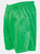 Precision Unisex Adult Micro-Stripe Football Shorts (Green)