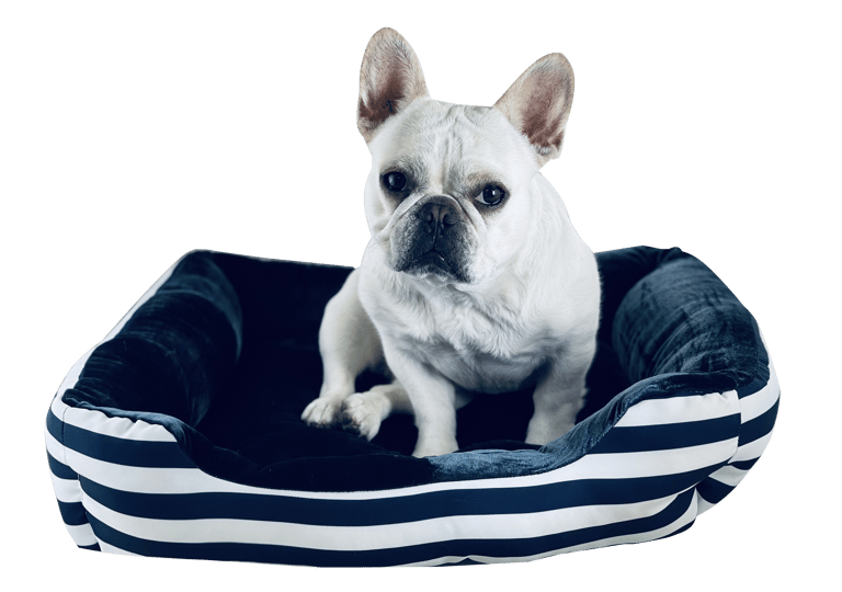 Cozy Dog Bed Blue Stripe