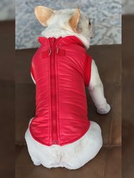 Padded Vest Jacket With Zipper Closure And Leash Ring