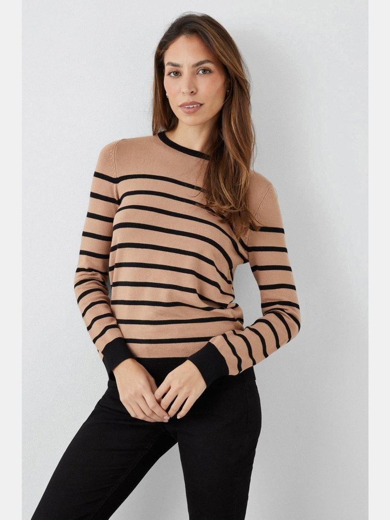 Womens/Ladies Striped Sweater - Black/Brown - Black/Brown