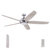 Guyanna 62-In Pewter Indoor Ceiling Fan With Remote