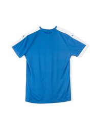 Puma Men's Pitch Soccer Jersey