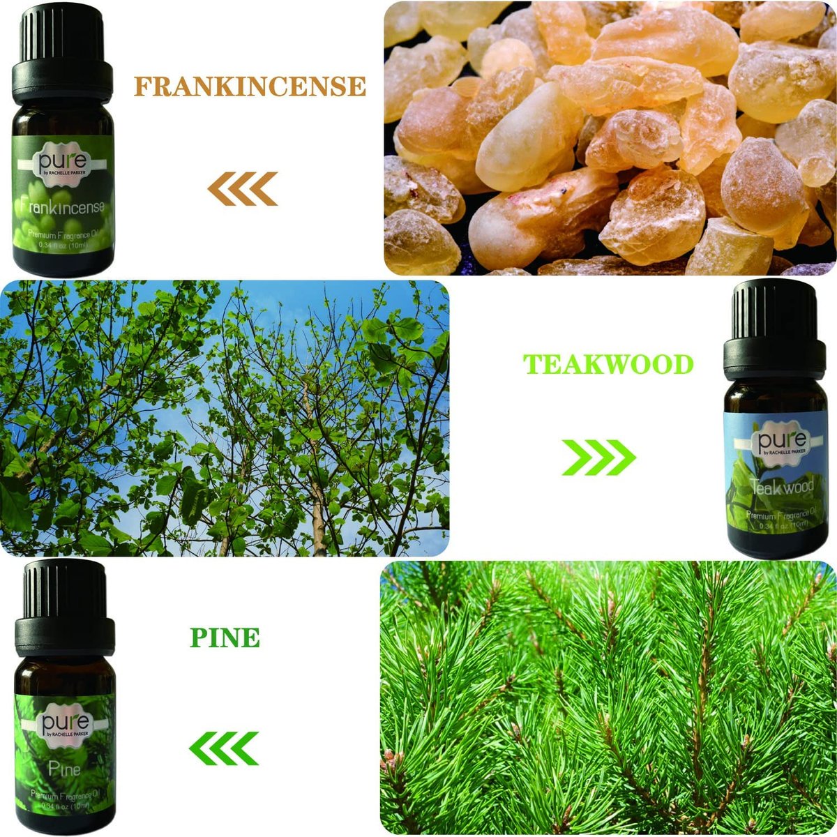 Teakwood Fragrance Oil – EKAM