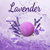 Lavender 18-Piece Bath Bombs Gift Set, Natural, For Men And Women