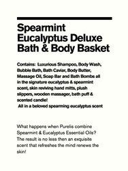 Spearmint Eucalyptus Bath & Body Spa Gift Basket
