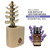 3D Wooden Standard Tree Reed Diffuser With Lavender Essential Oil
