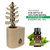 3D Wooden Standard Tree Reed Diffuser with Peppermint Essential Oil